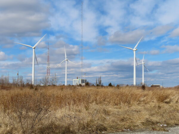 wind mills in a field