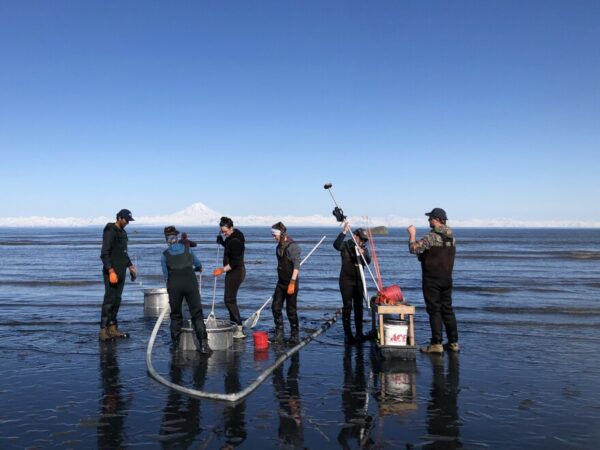 Six people standing in shallow water working with buckets, hoses and other equipment