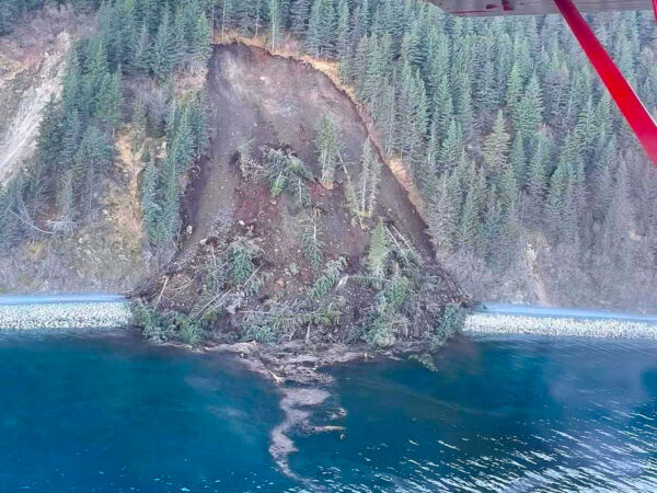 A landslide as seen from above cutting through spruce trees