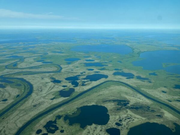 An aerial photo of a river delta