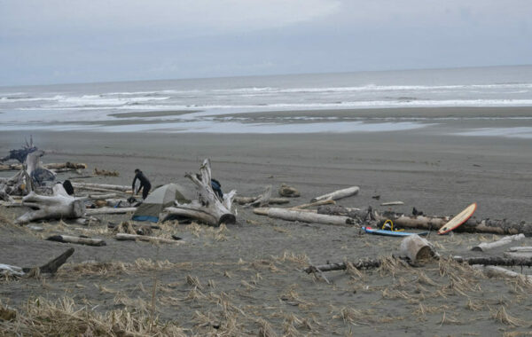 People waxing surfboards among driftwood on an Alaska beach
