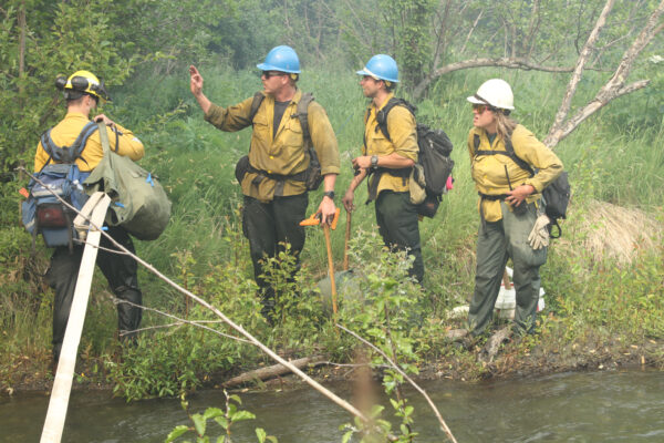 a group of firefighers in smokey woods near a stream