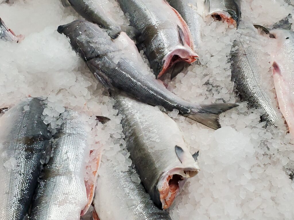 Interior: Salmon on a bed of ice in a supermarket.