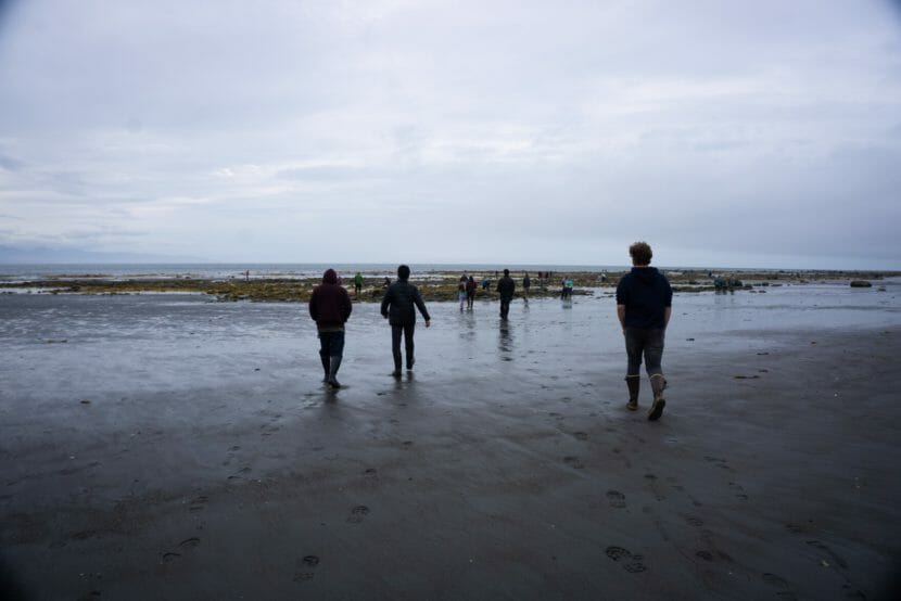 Exterior: people walking on a beach