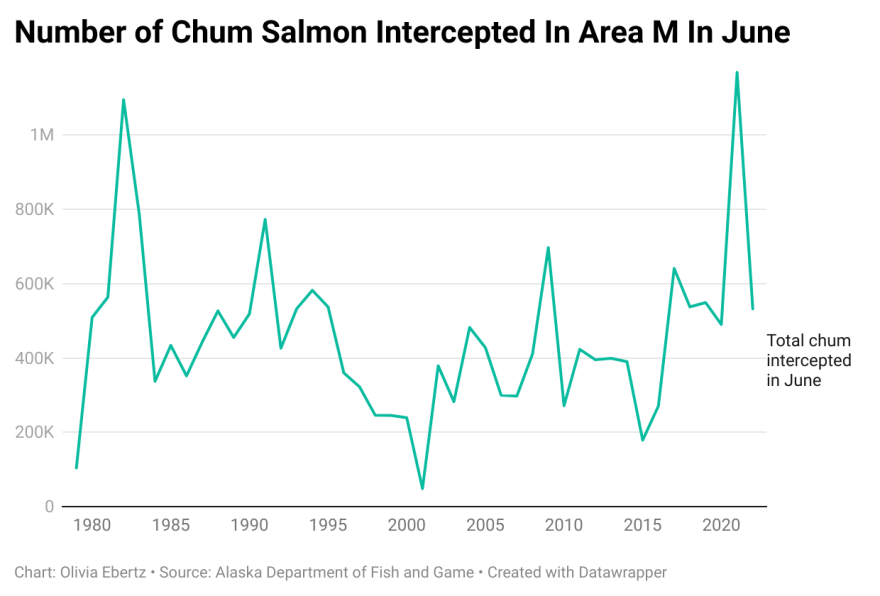 Graph: Number of chum salmon intercepted in Area M in June by year.