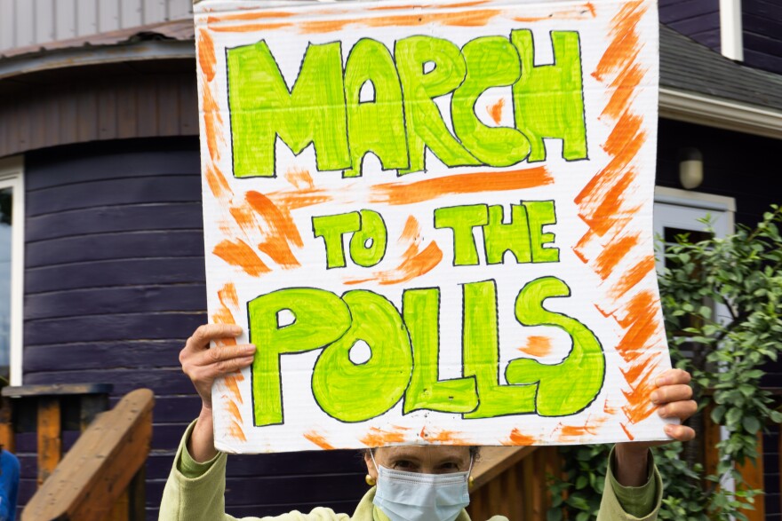 A protester holds a sign saying "March to the polls"