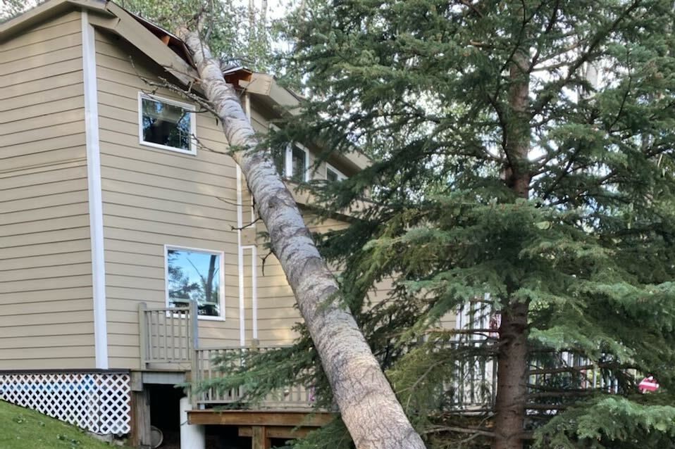 a tree falls onto a house