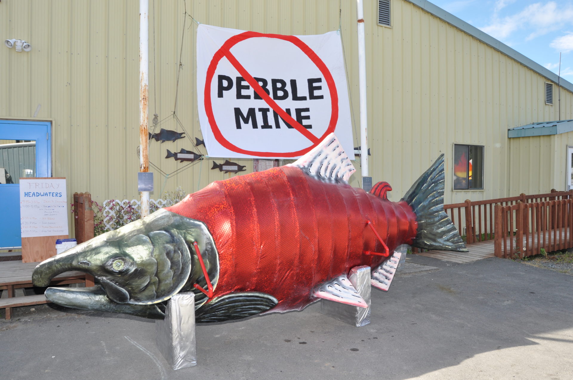 Salmon art and an anti Pebble Mine sign at Salmonfest 2022