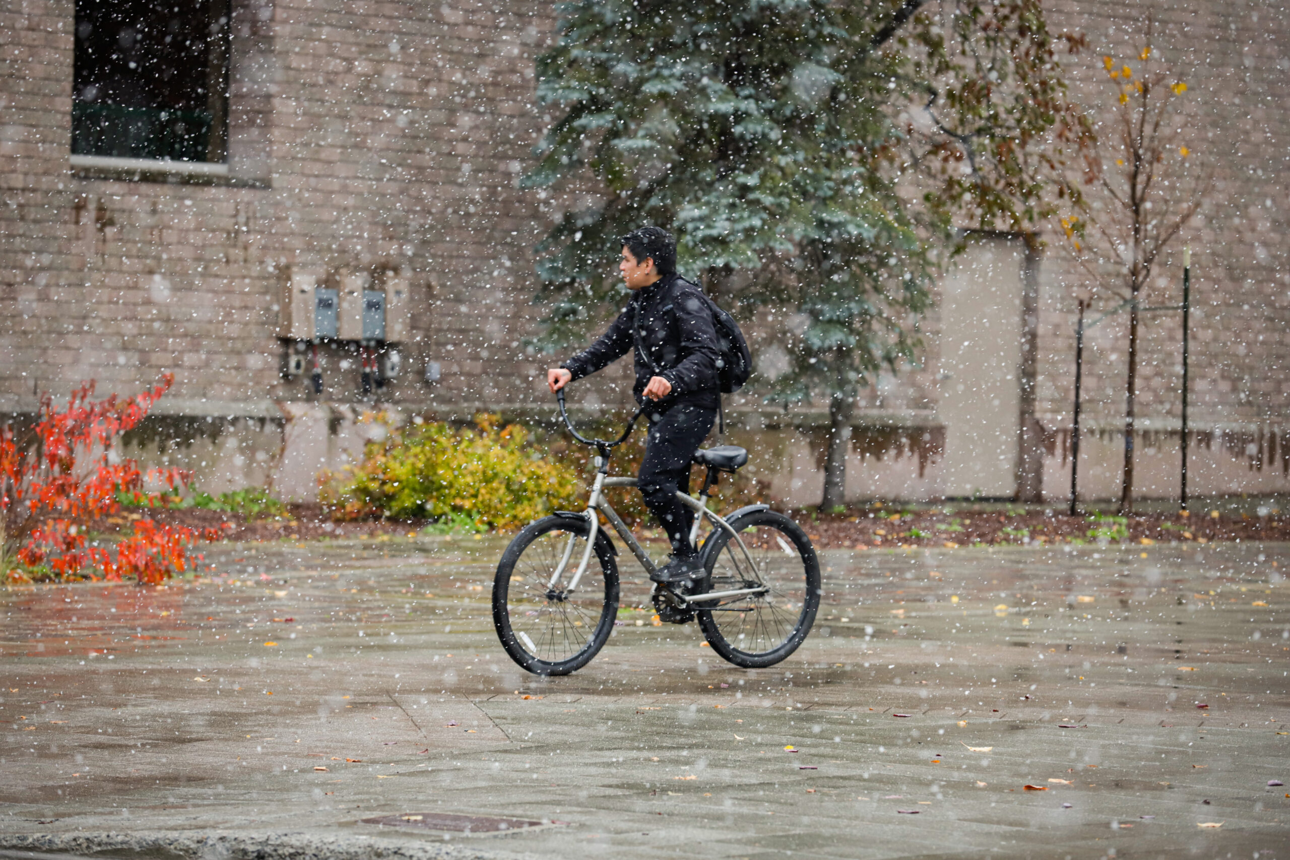 A man on bicycle riding in the snow