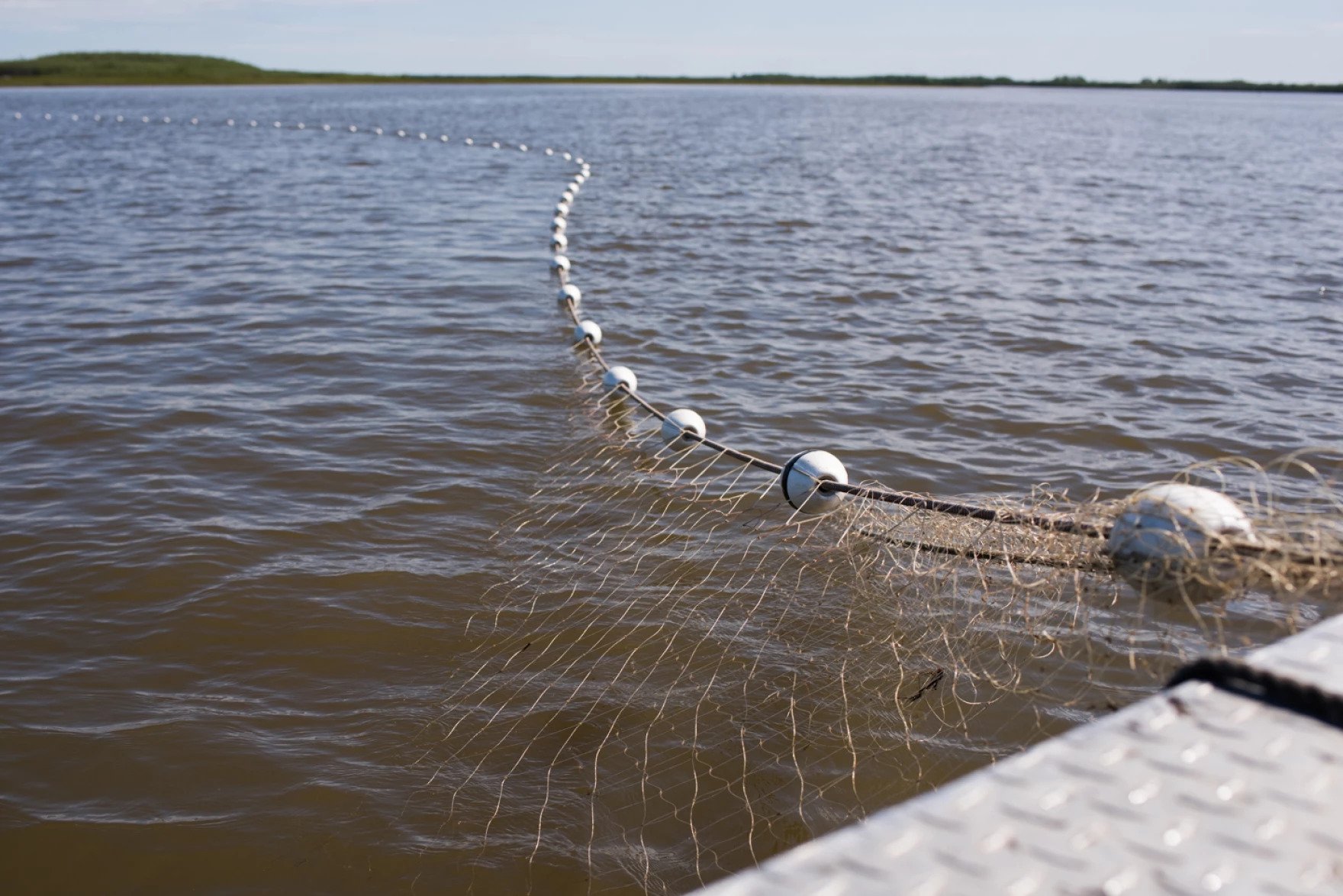 a net stretches across the water