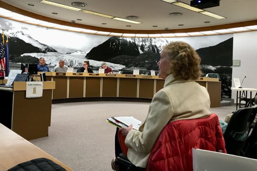 a Juneau planning commission meeting