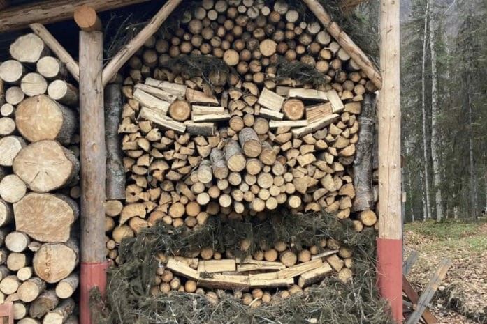 wood stacked outside to look like a face with a beard