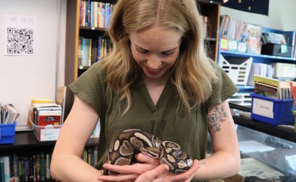 Snake escapes in Dillingham classroom — twice - Alaska Public Media