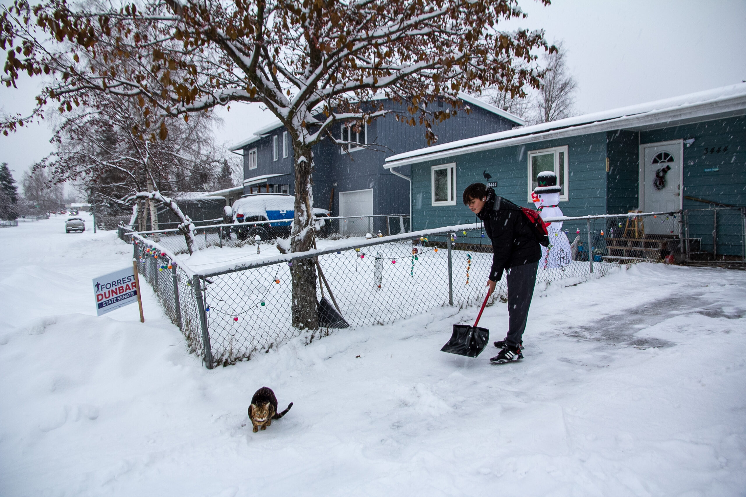 A boy shovels snow from a driveway while a cat is perched where the sidewalk meets the driveway.