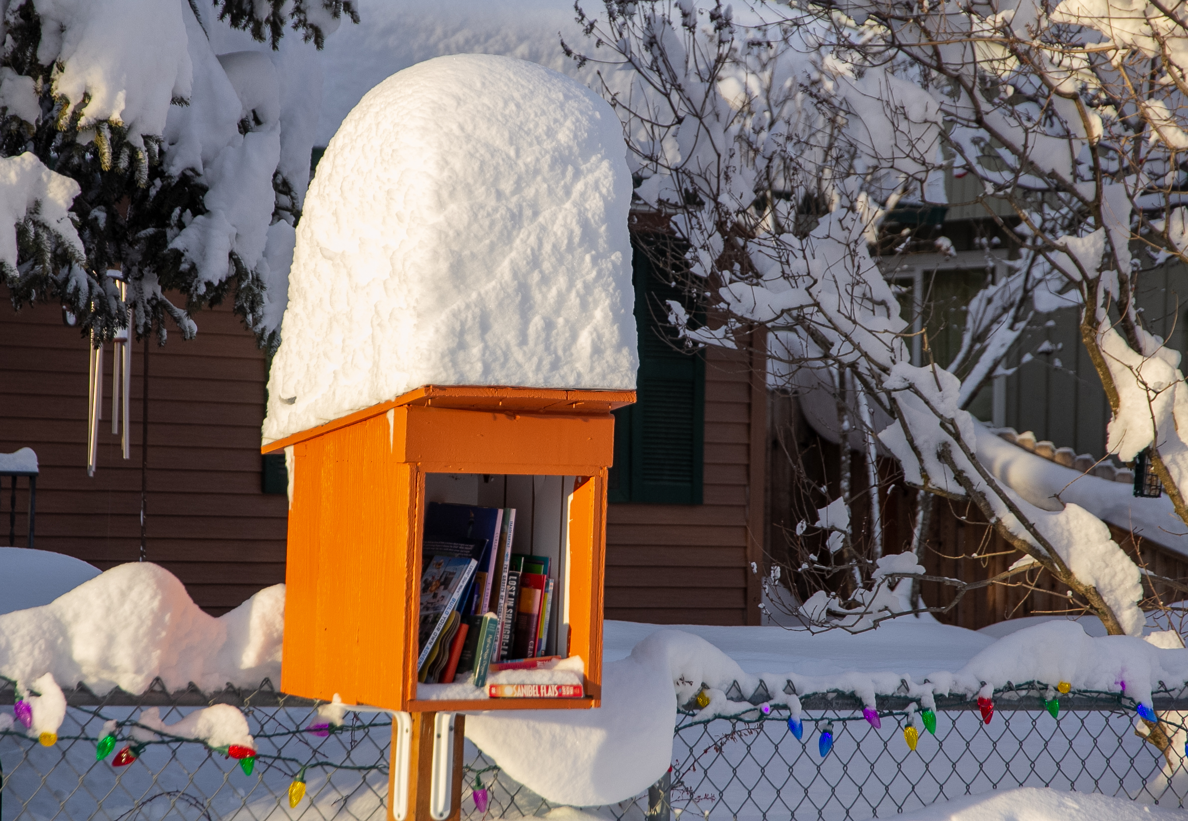 A small neighborhood book exchange with a thick pillow of snow on top.