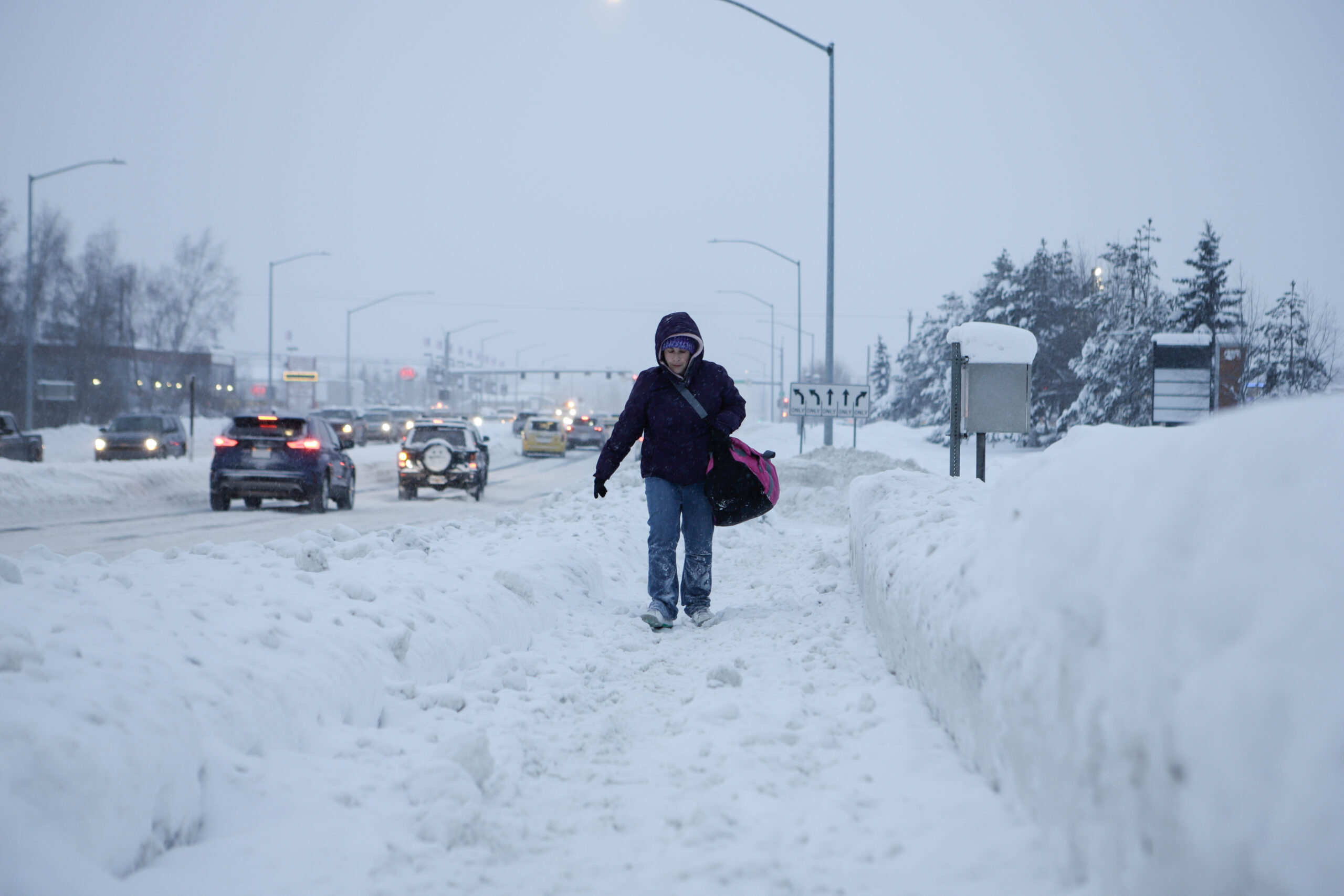 A woman walks on a snowy pathway with heavy traffic.