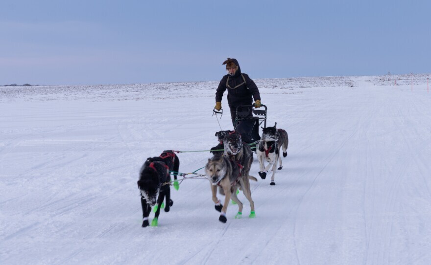 a man mushes a team of dogs on the snow