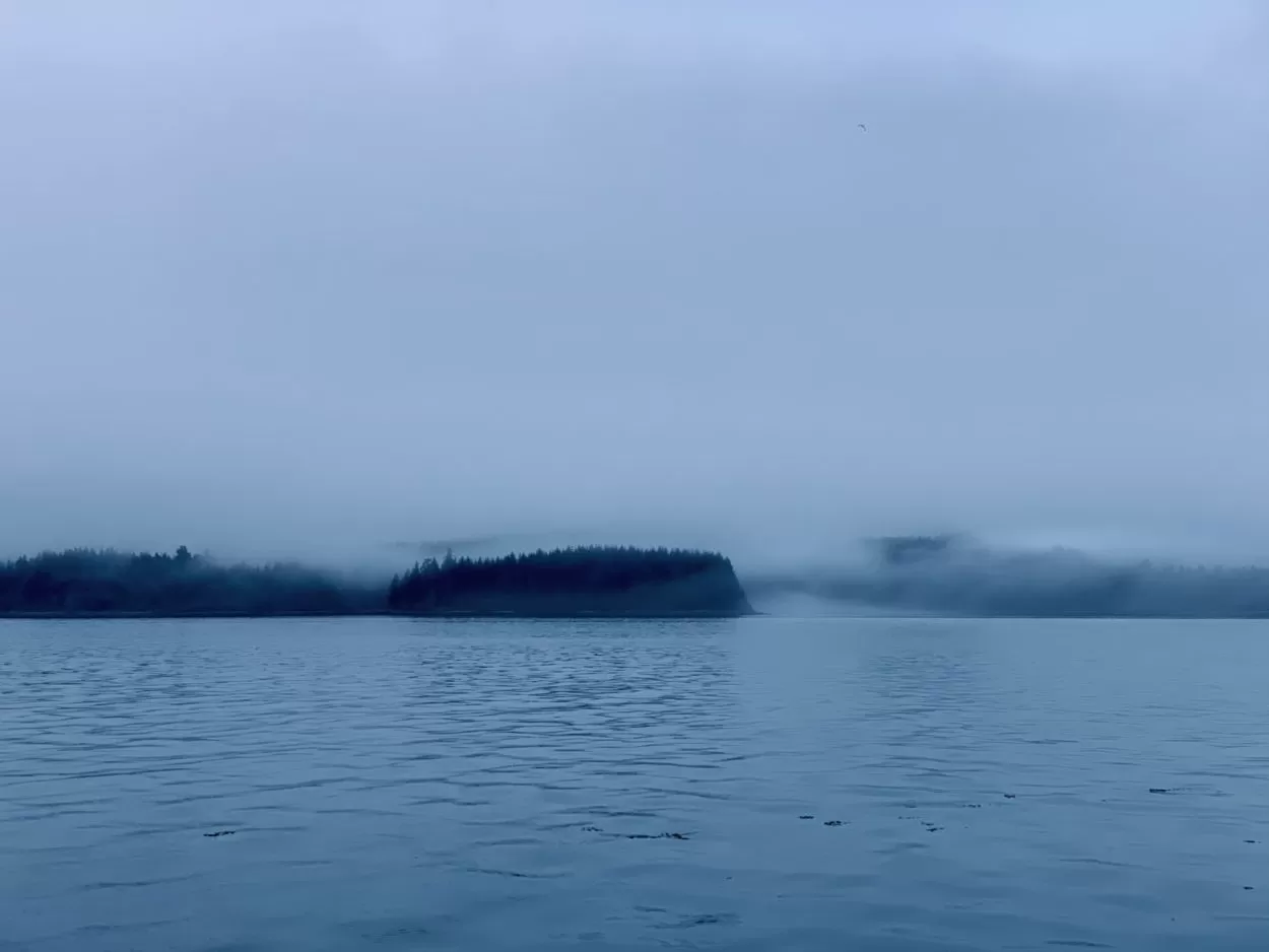 low clouds over an forested island