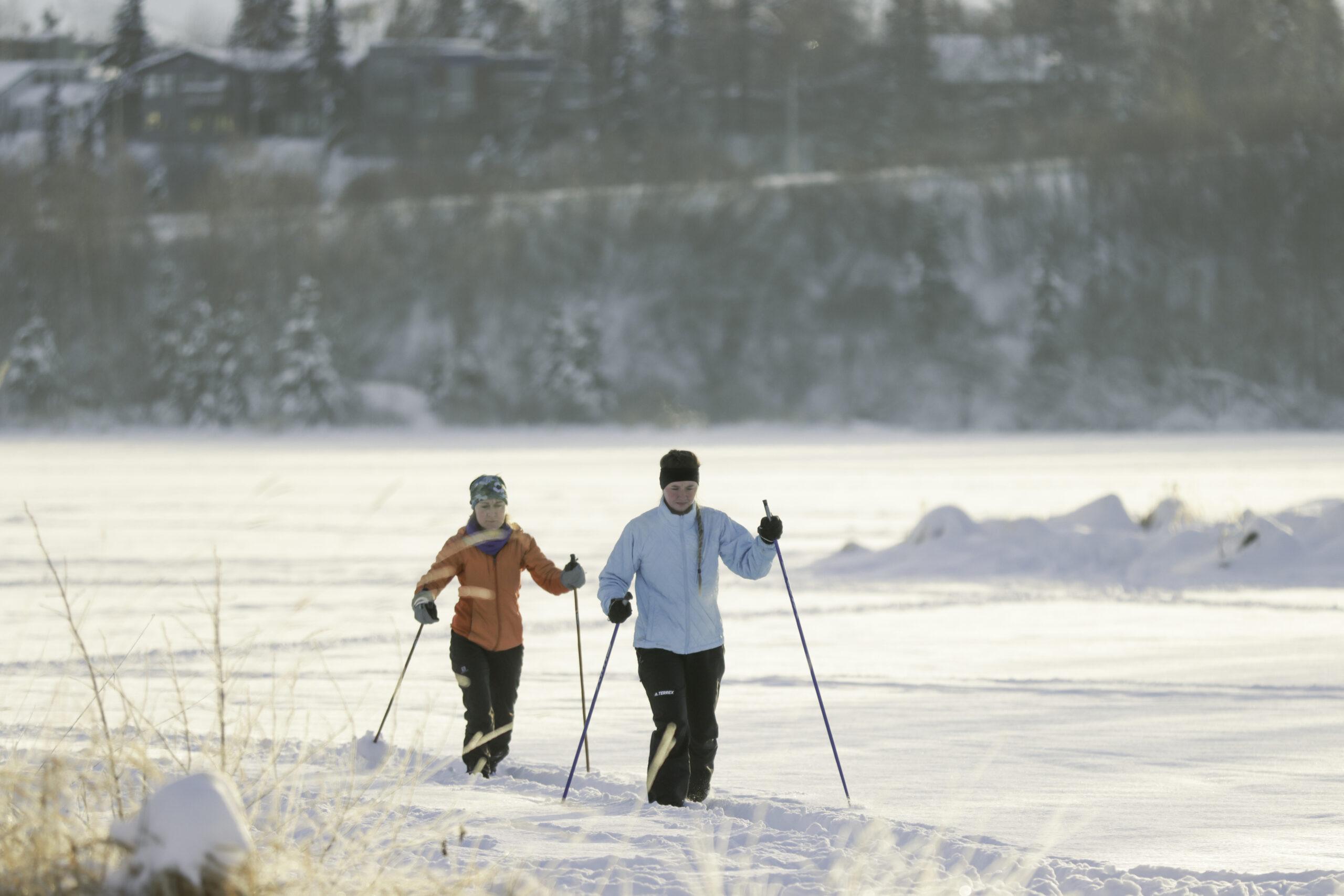 two skiiers on a snowy trail