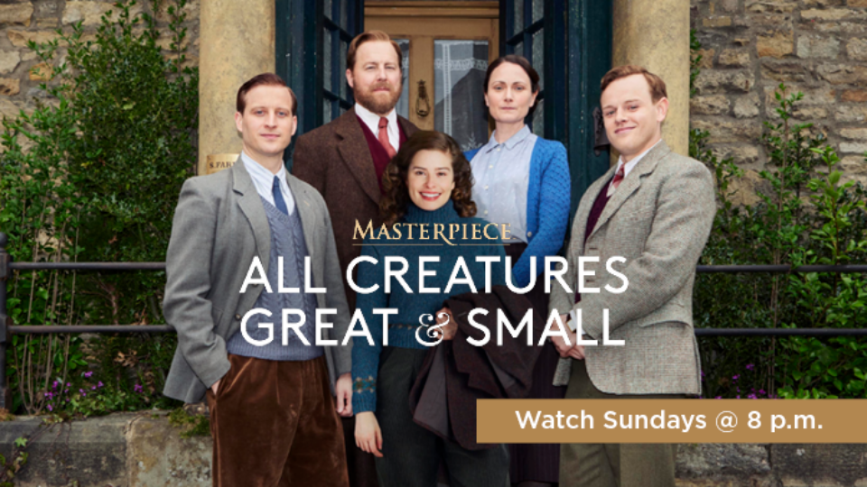 All Creatures Great and Small: Watch Sundays at 8 p.m.