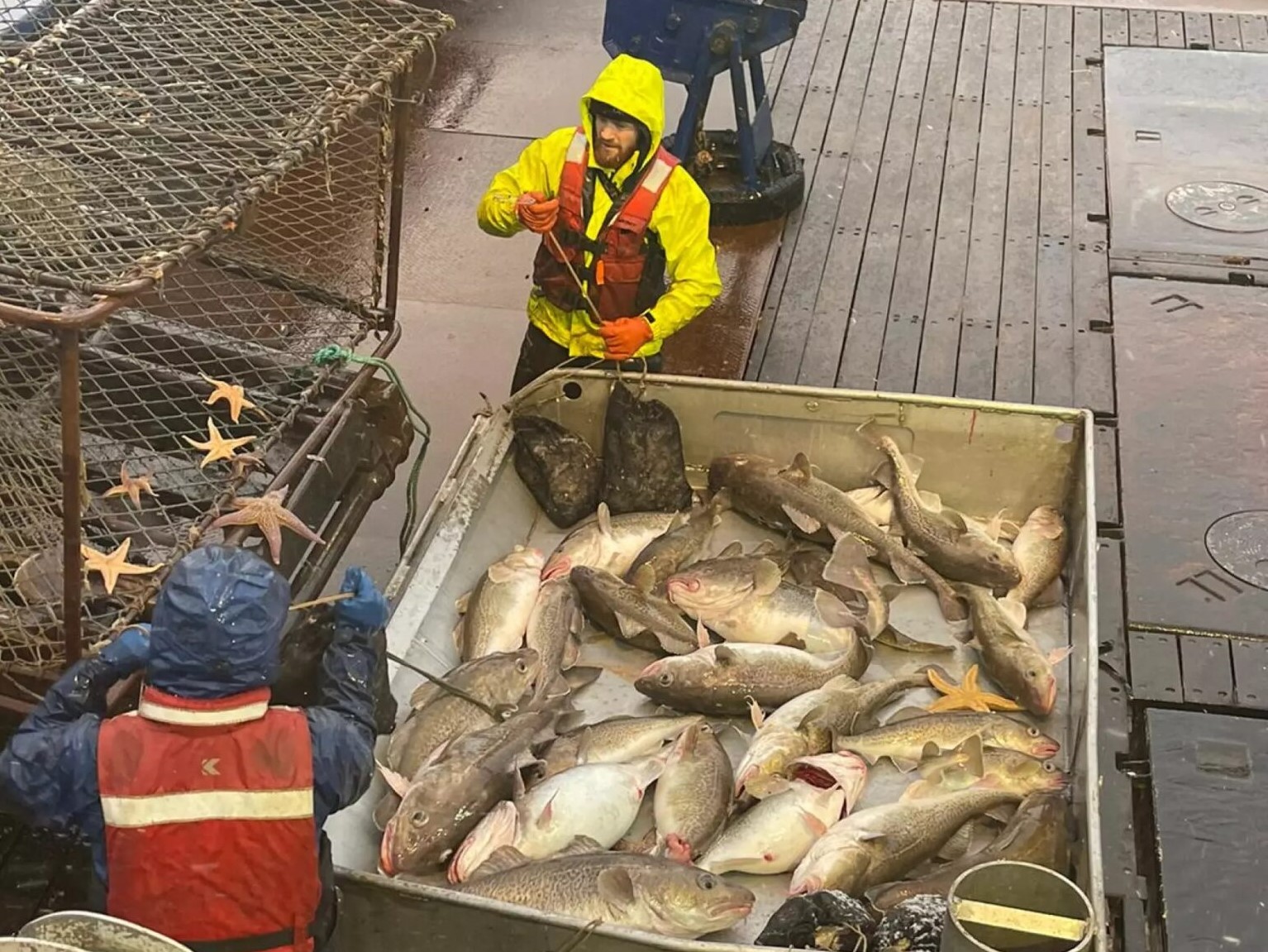 Bering Sea cod fisherman fights for better catch price amid slow