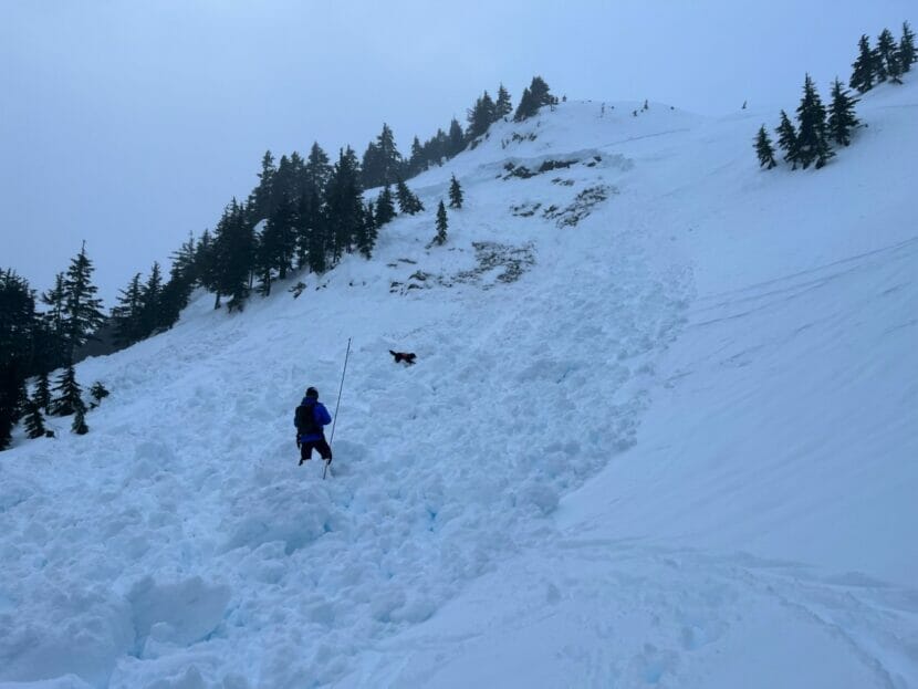 an avalanche at Eaglecrest Ski Area