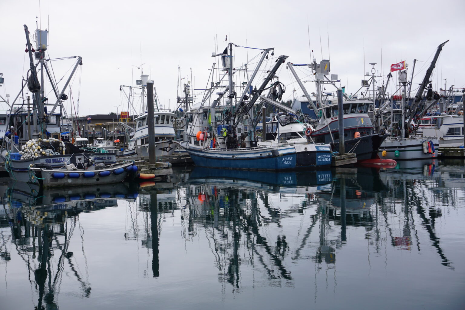 fishing boats in a harbor