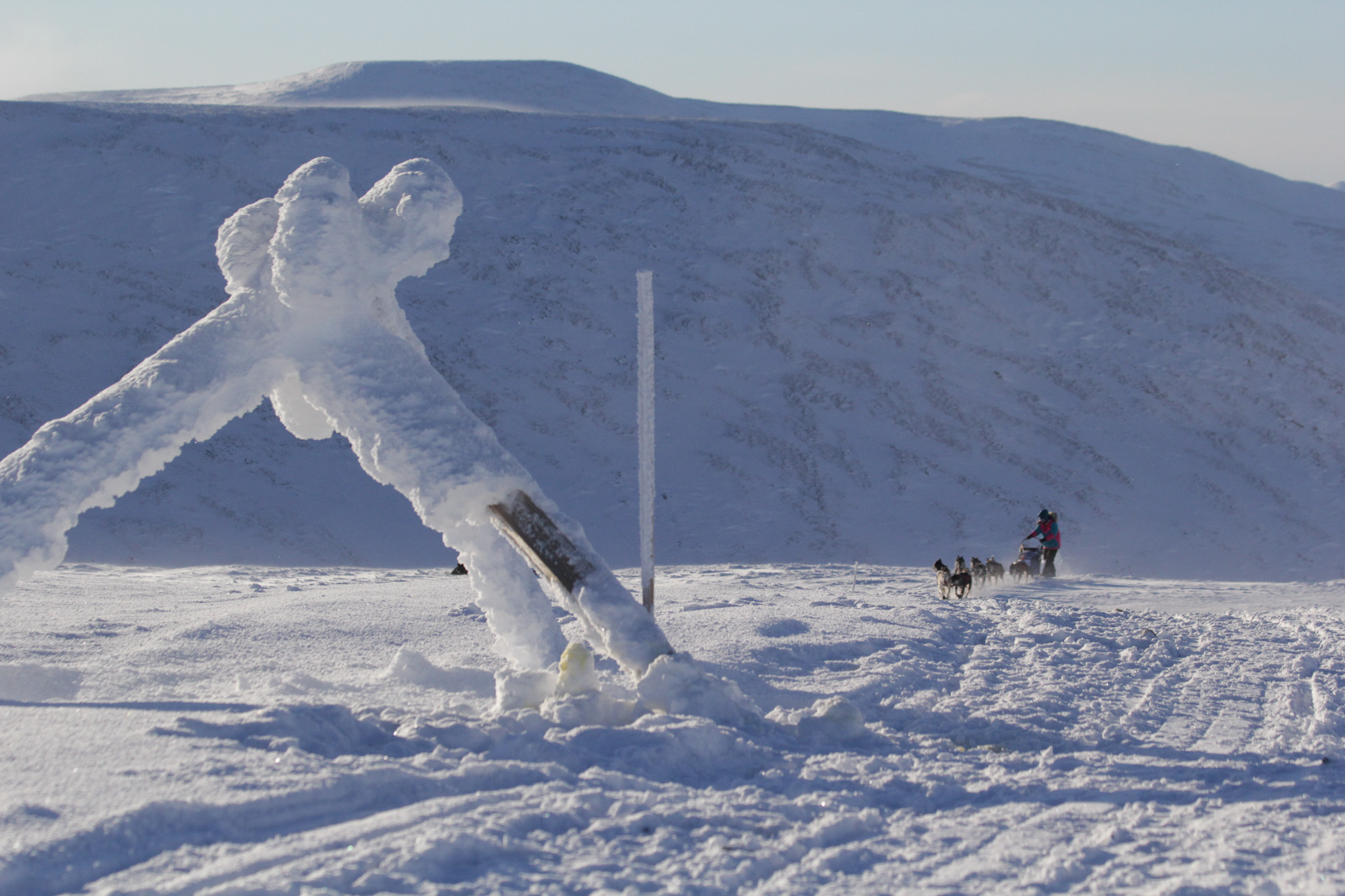 A dog team climbs a snowy hill