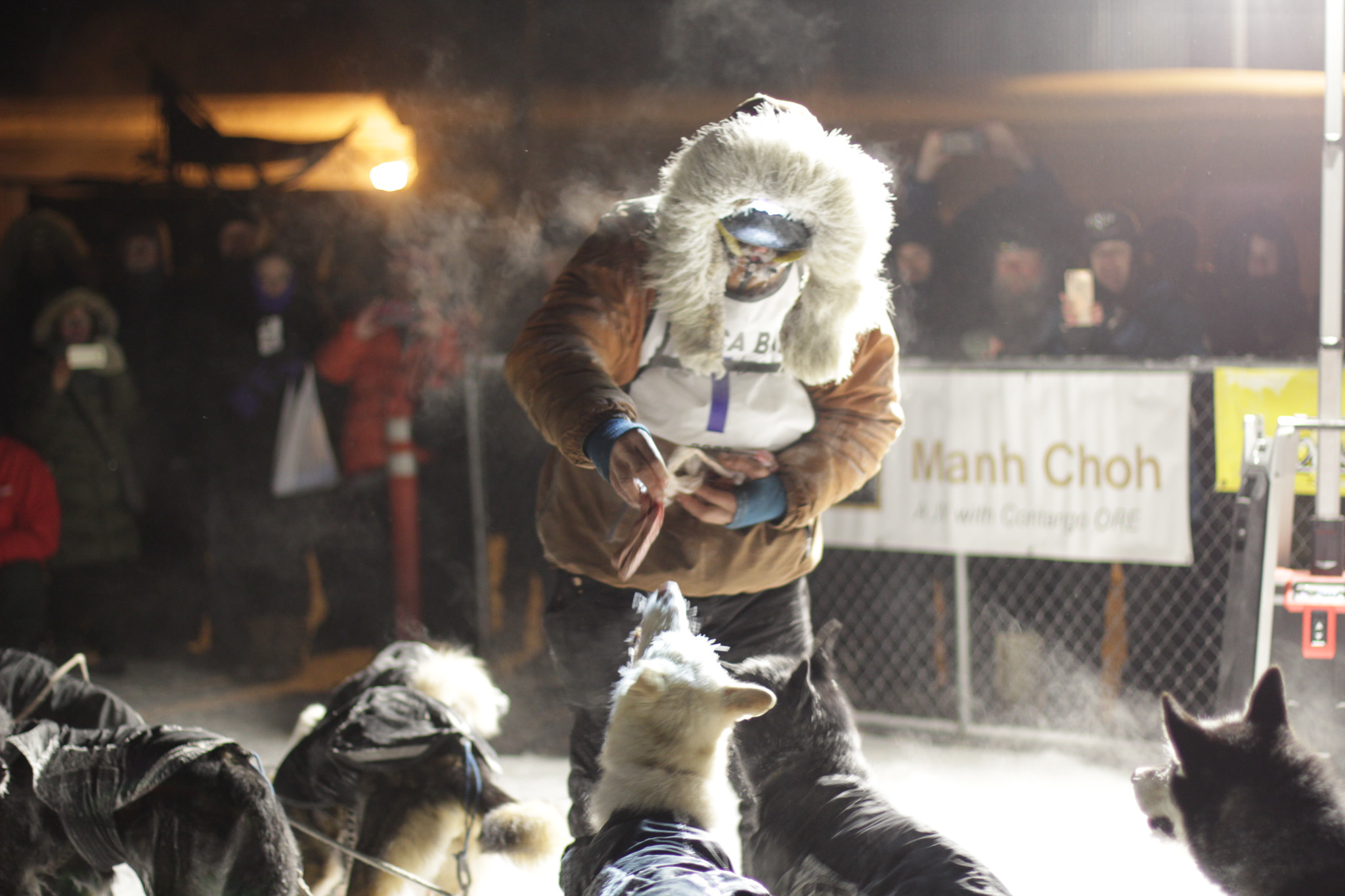 Dogs stare at a musher as he hands out treats