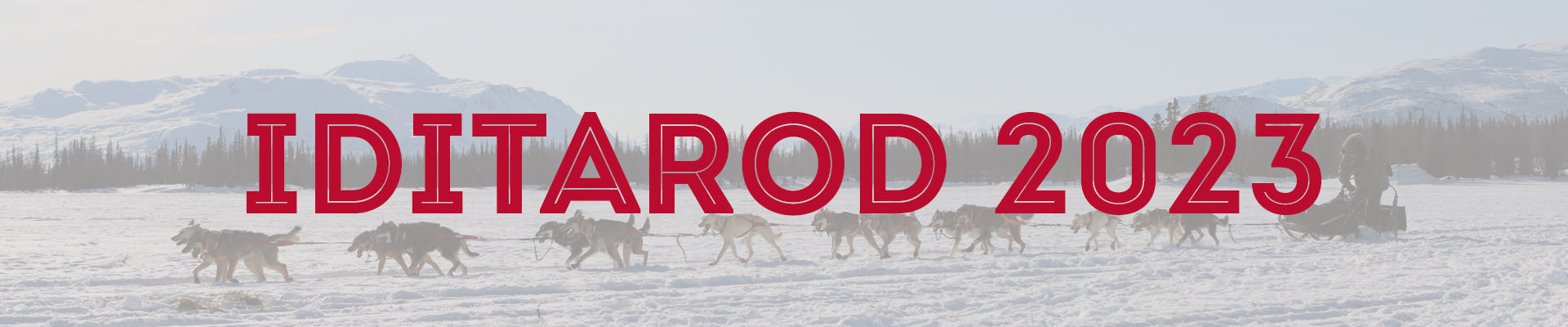 Iditarod 2023 (red text over photo of mushing team)