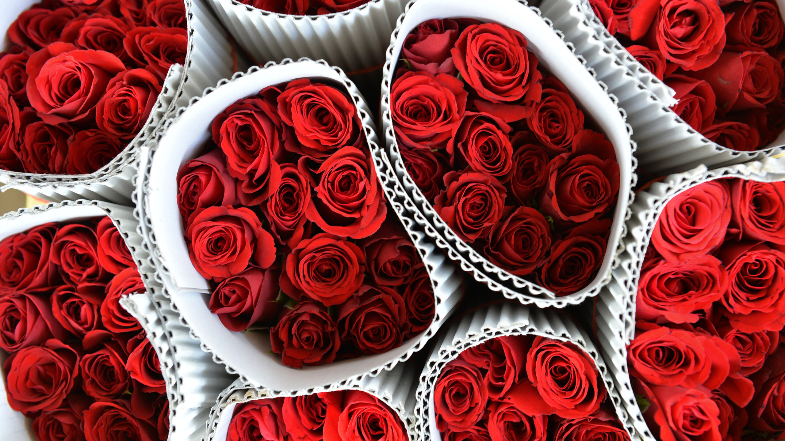 bouquets of red roses
