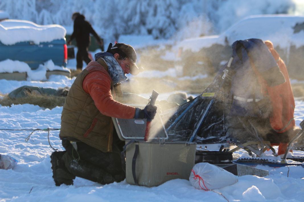 a musher prepares food outside in a cooler