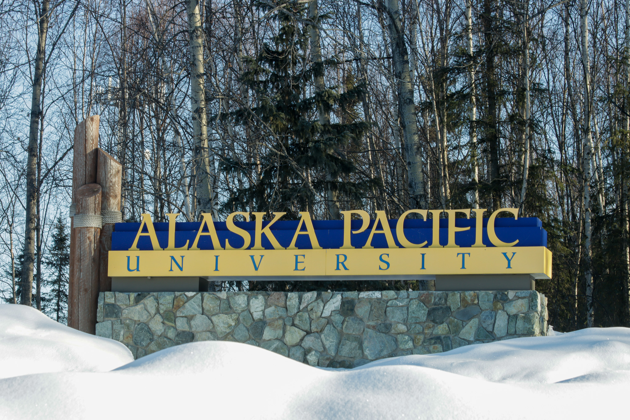 The sign for Alaska Pacific University stands in front of pine trees surrounded by snow.