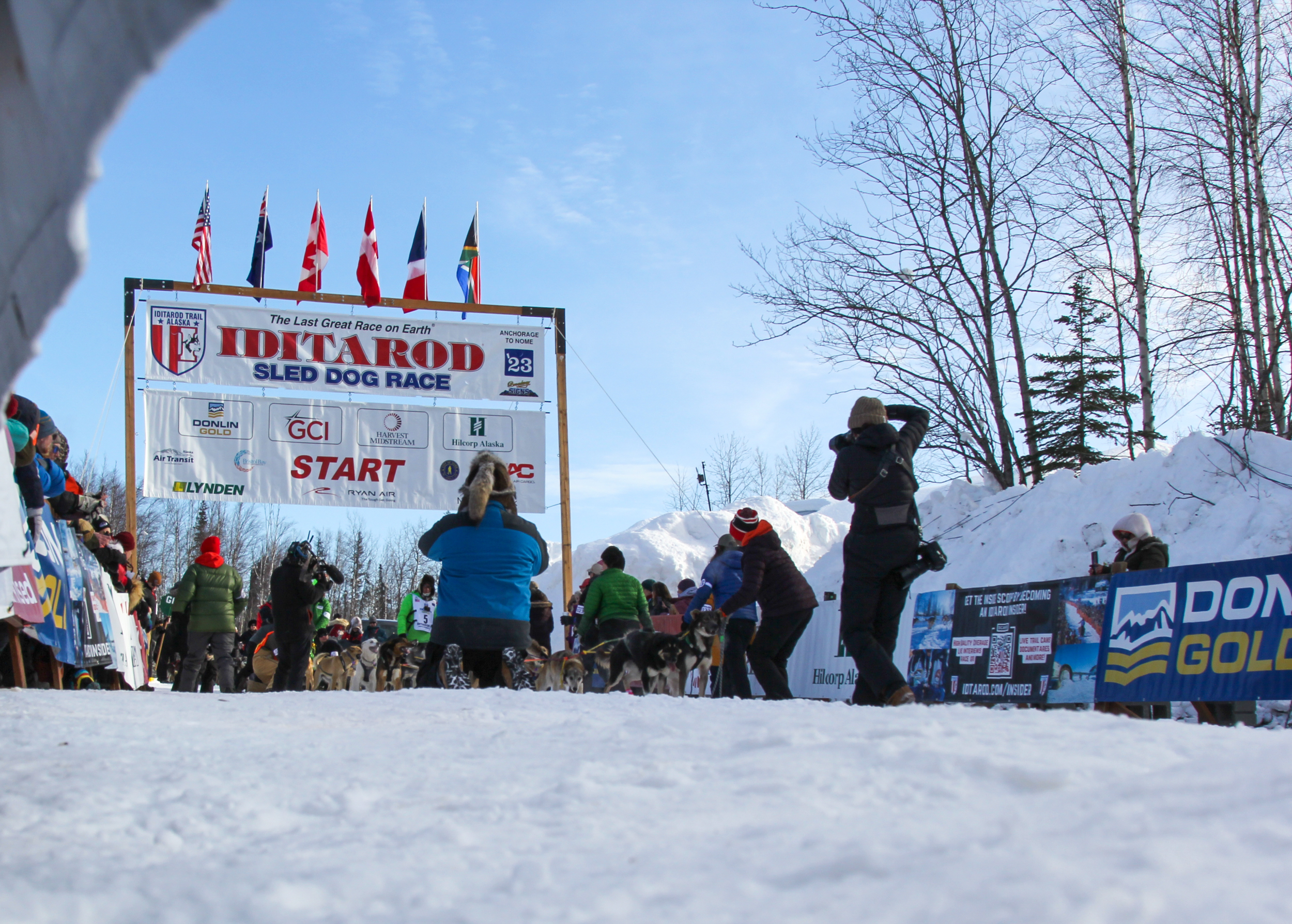 230305-Iditarod Restart-LOUGHLIN-22 - Alaska Public Media