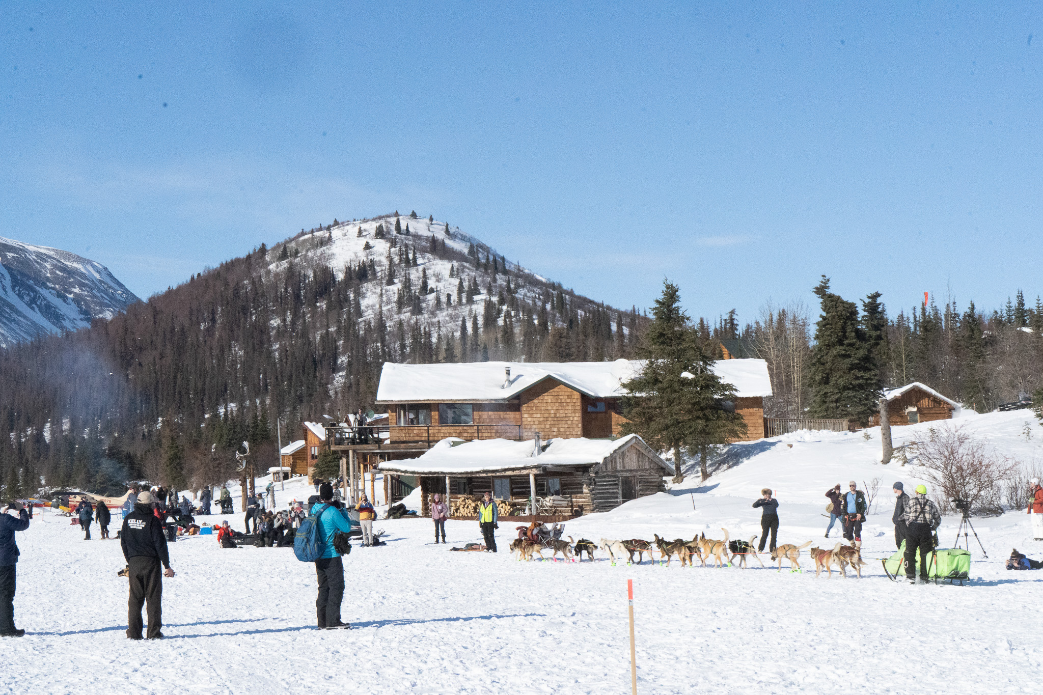 A musher runs towards a wooden ski lodge