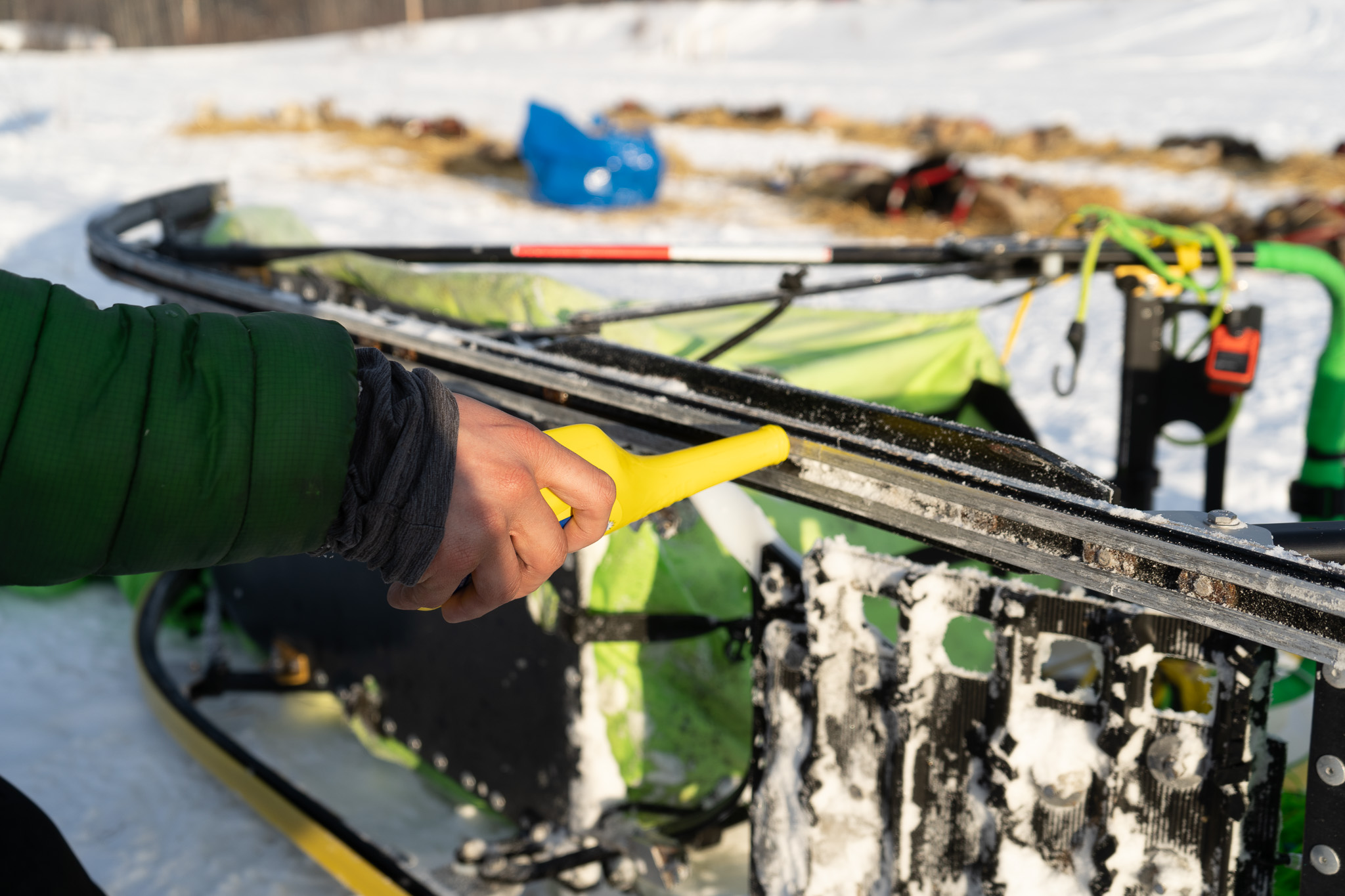A person's hand applies a yellow container to a dog sled