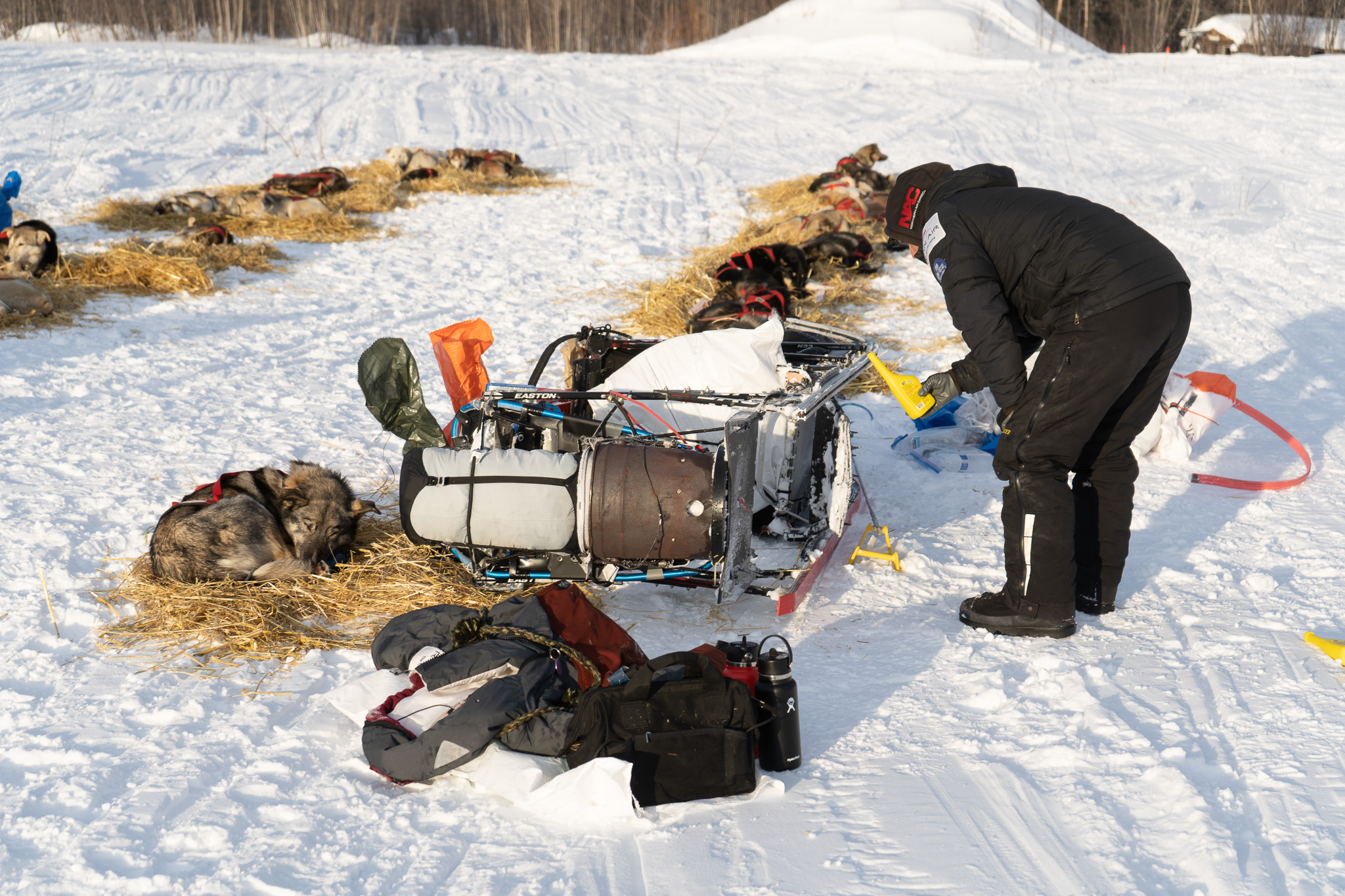 A person applies a yellow container to the runners of an upturned dog sled