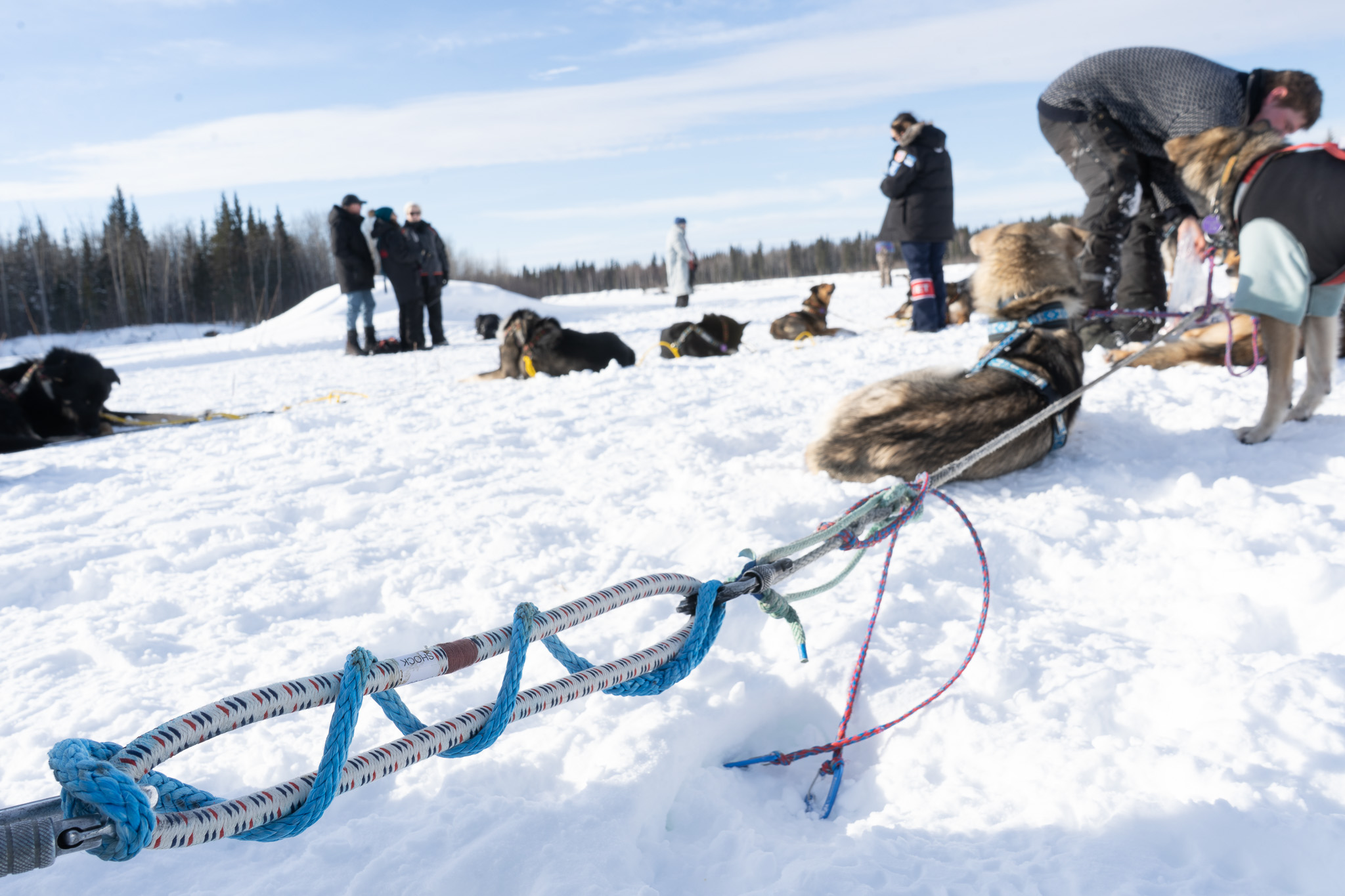 a bungee cord attached to the front of a sled