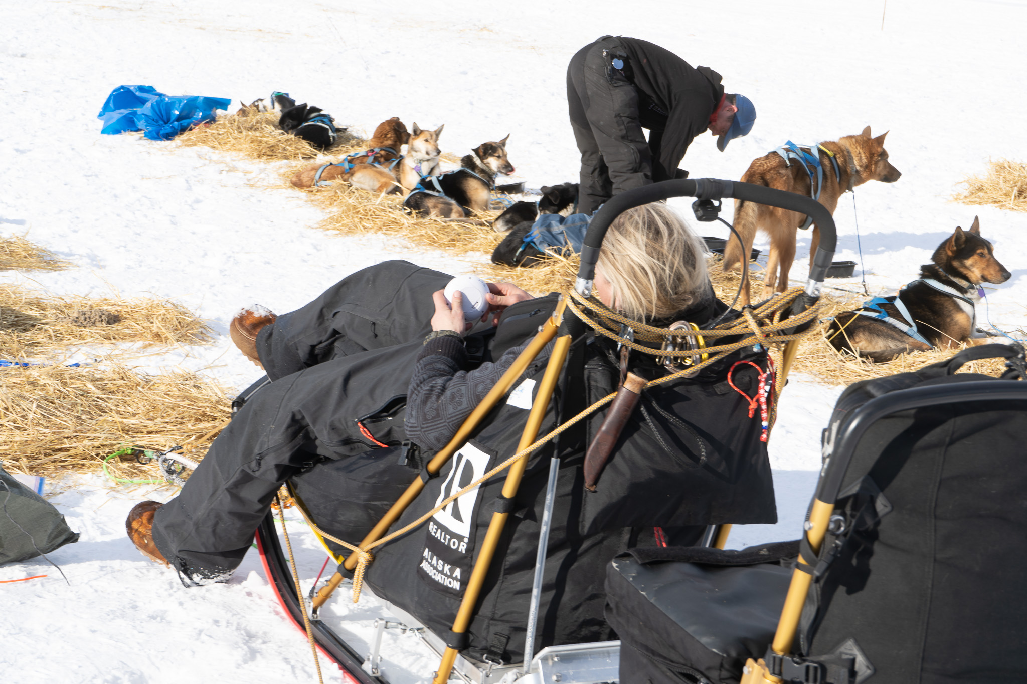 A woman sits in a dog sled
