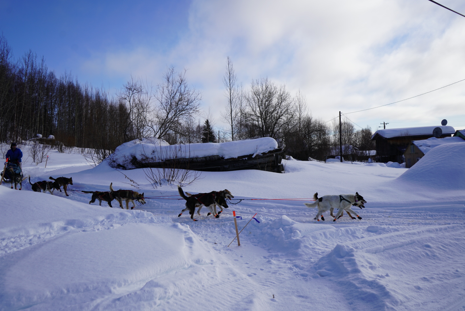 A dog team runs by some small cabins