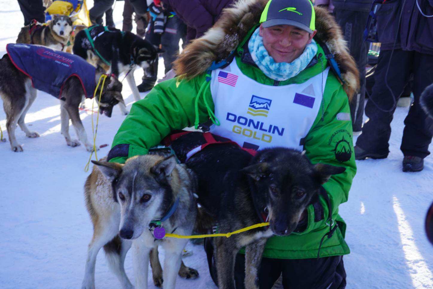 two dogs and a musher