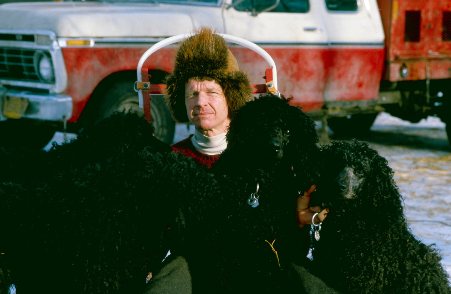 A man in a fur hat poses with shaggy black poodles