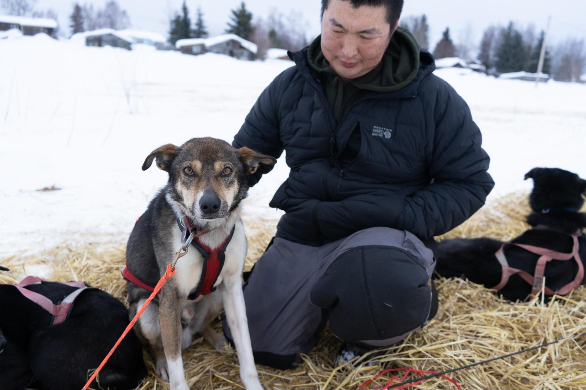 a man and a sled dog