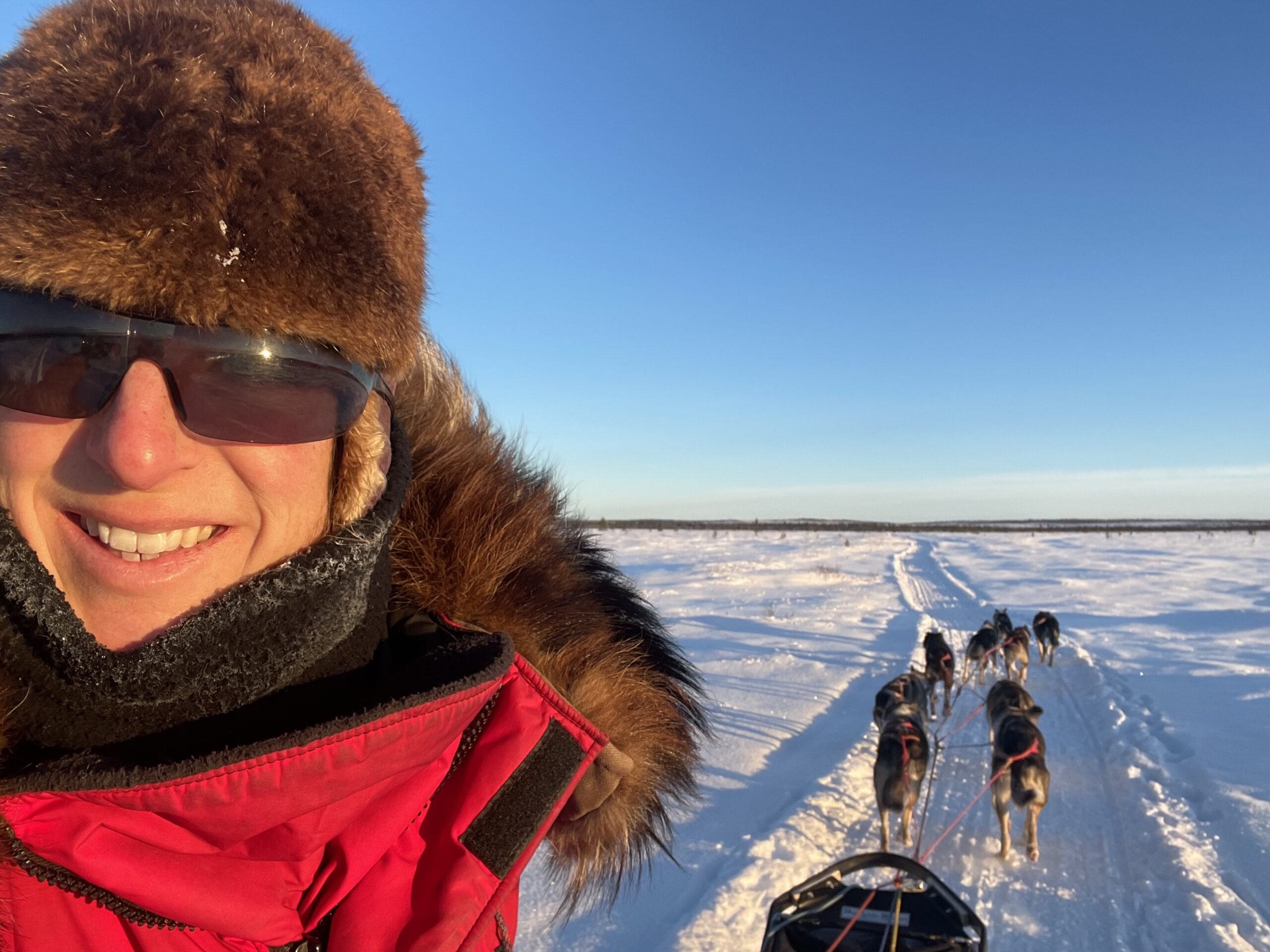 Healy musher Jennifer LaBar trains with her dogs in to prepare for this year's Iditarod.