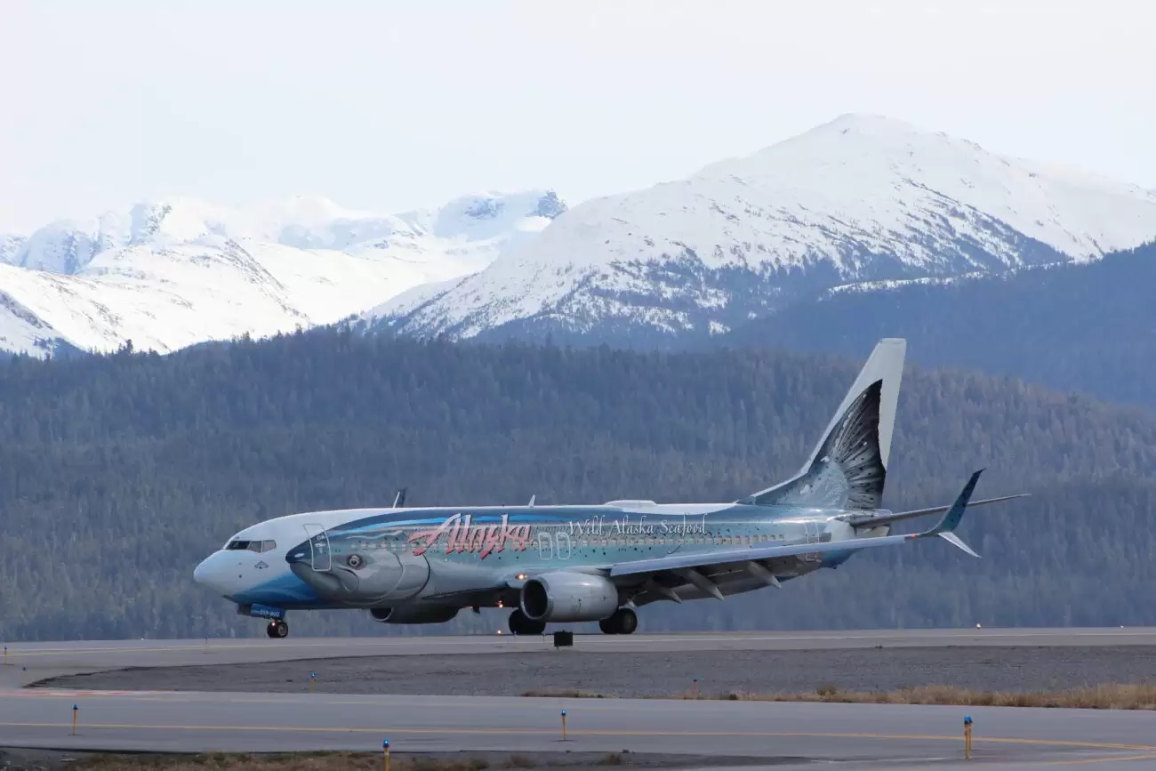 Alaska Airlines’ flying salmon travels the Inside Passage a final time