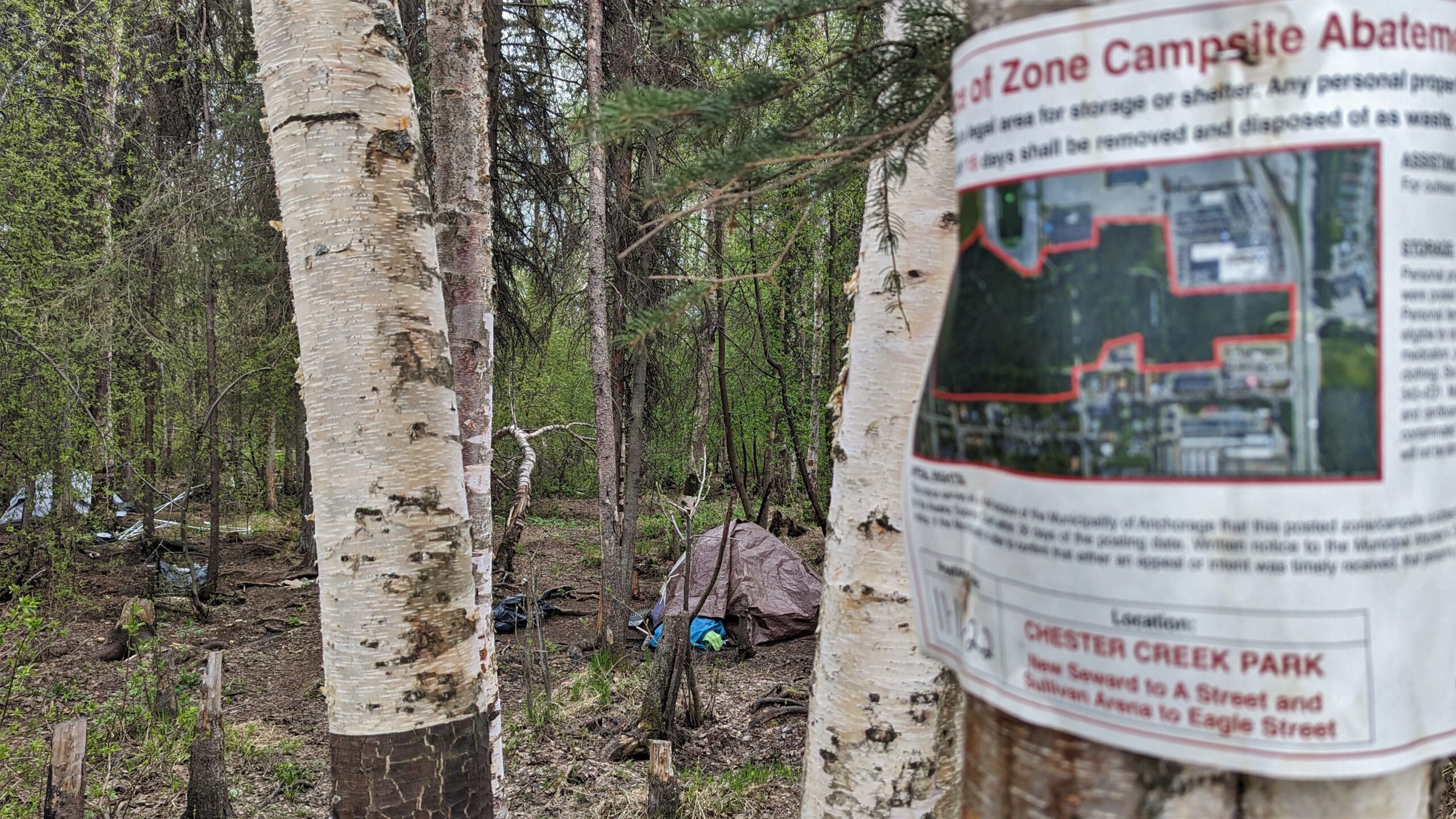 An abatement notice near a tent in the woods