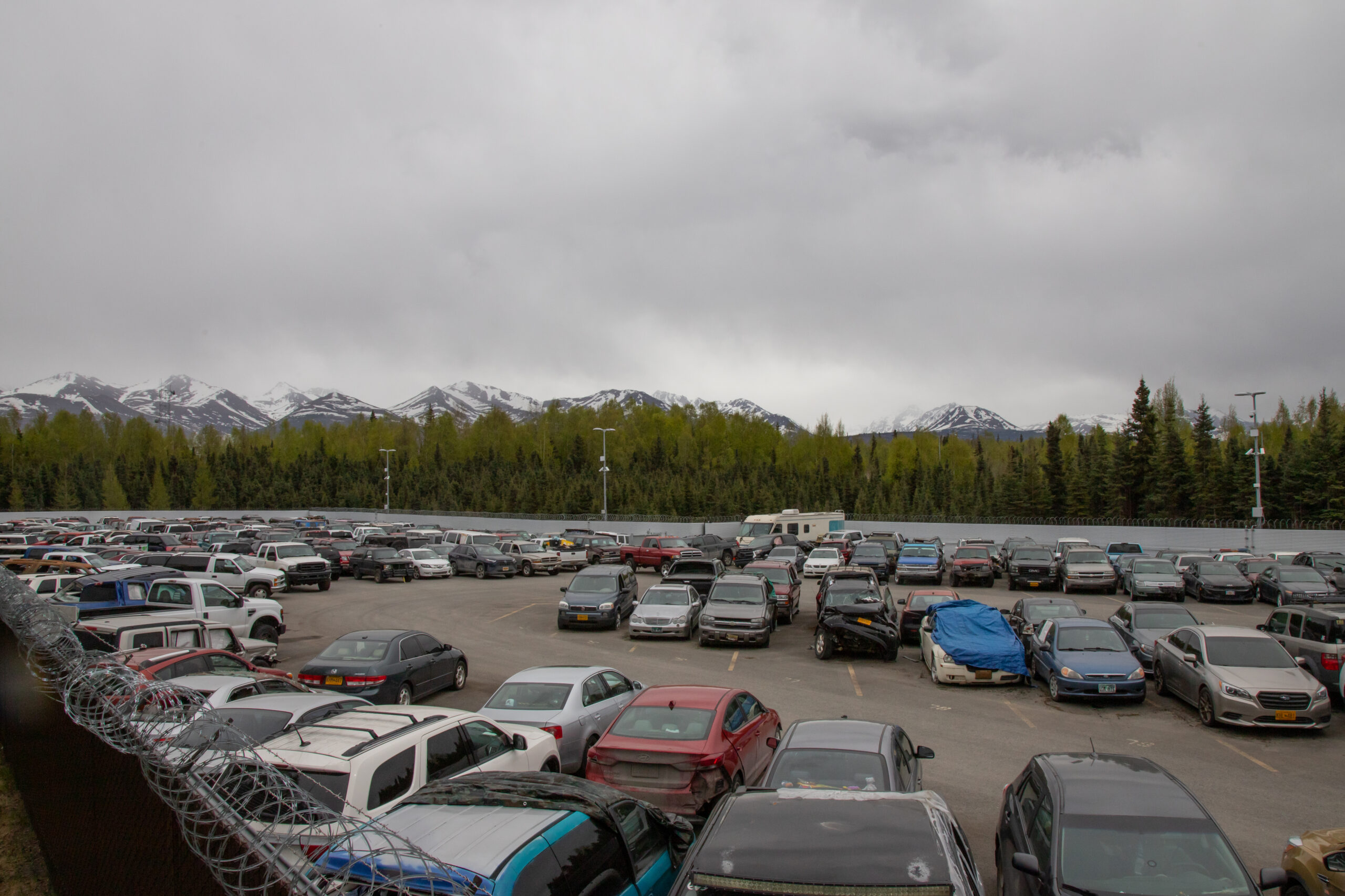 A parking lot with cars. Trees and mountains in the background.