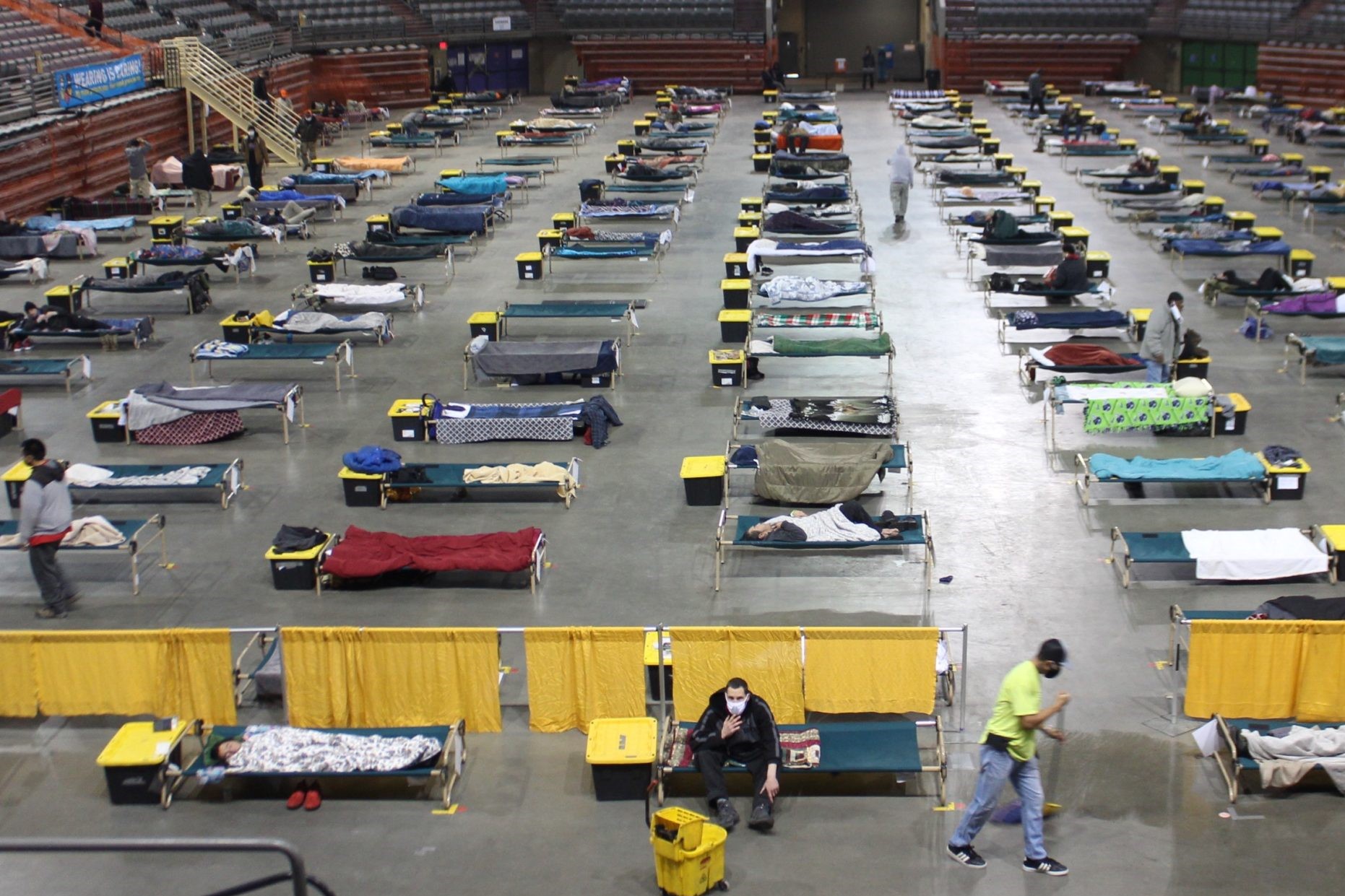 cots spread across a shelter