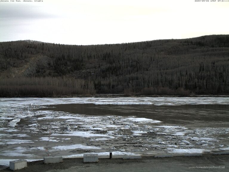 Nenana Ice Classic ends a day after tripod’s fall Alaska Public Media