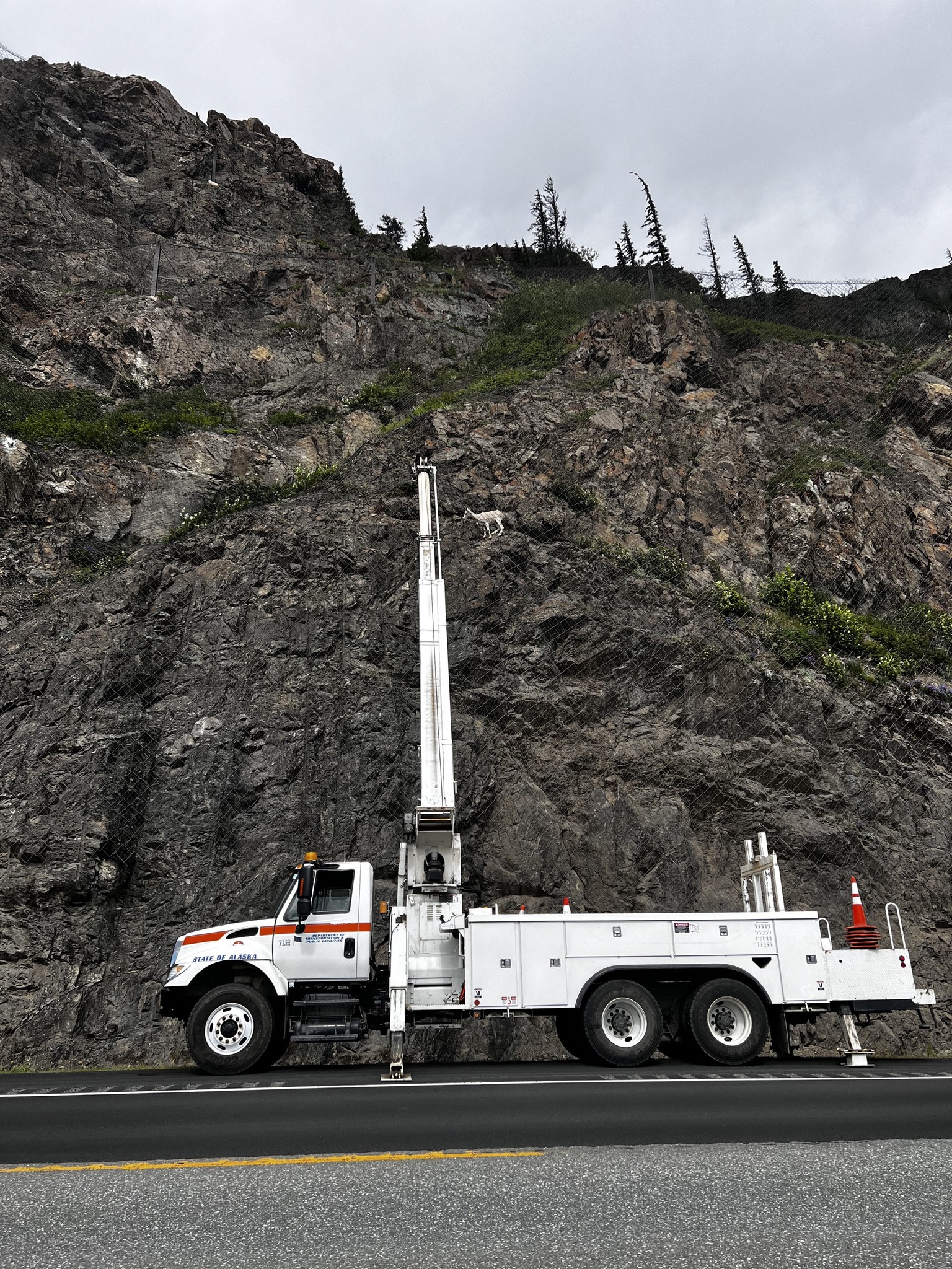 a truck with a boom arm extended toward a sheep on a steep rock wall